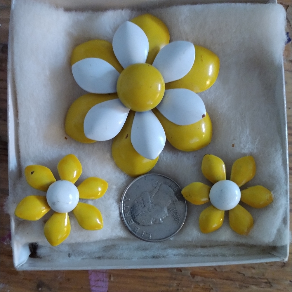 Vintage Enamel clip on earrings and pin